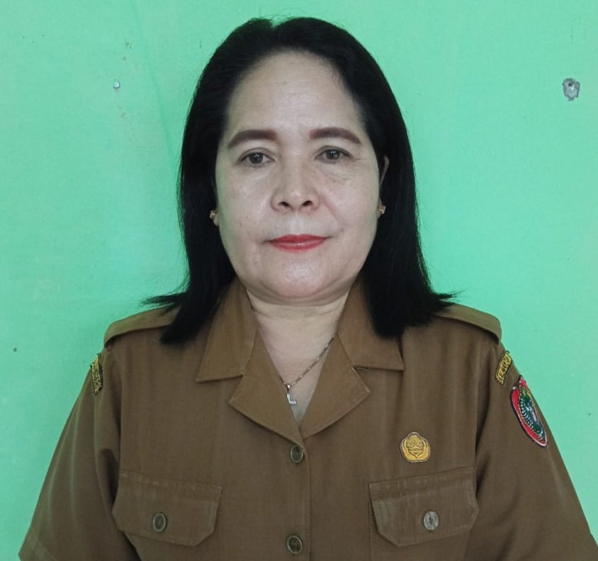 Dra. EMINURSENA